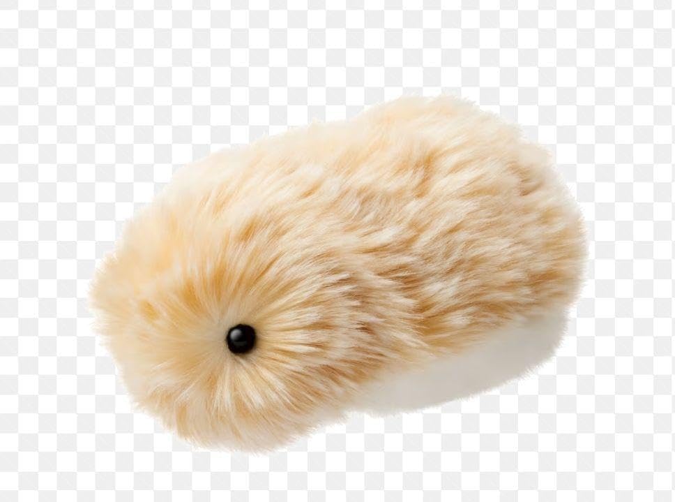 CASIO モフリン PE-M10GD ゴールド Moflin